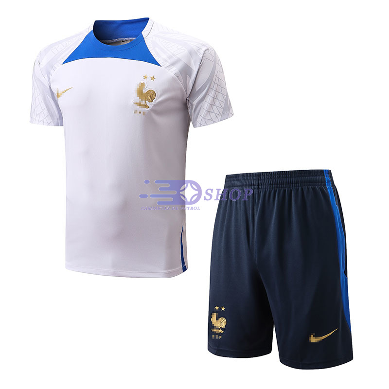 camiseta entrenamiento francia