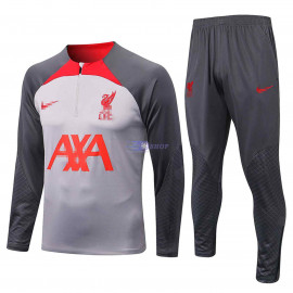 Camiseta de Entrenamiento Liverpool 2021 Gris