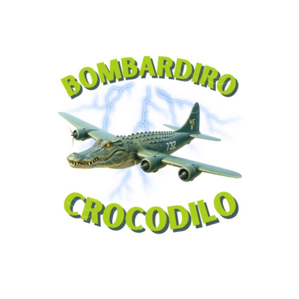Bombardiro Crocodilo camiseta niu00f1o