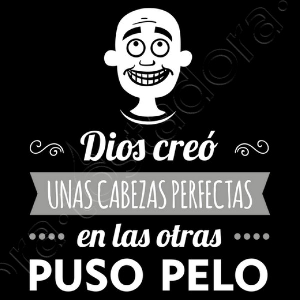 Cabezas Perfectas Calvo