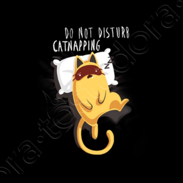 Catnaping