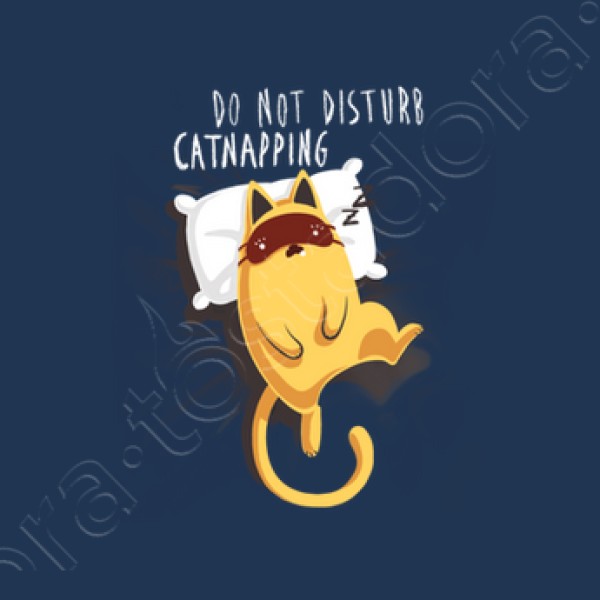 Catnaping