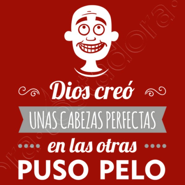 Cabezas Perfectas (Calvo)
