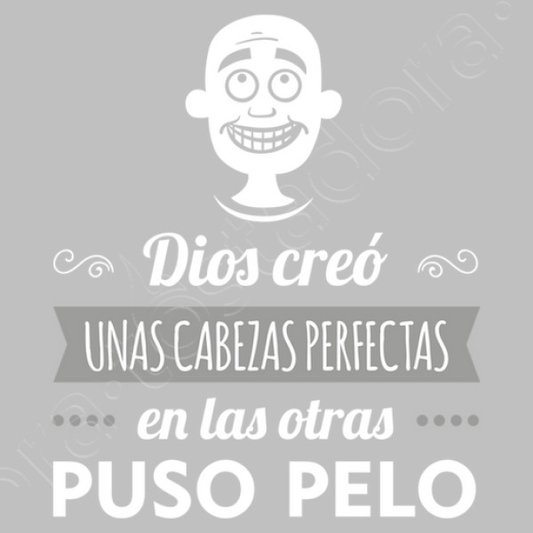 Cabezas Perfectas (Calvo)